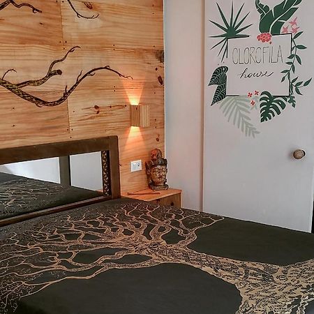 Clorofila House Glamping Naturista Ubatuba Εξωτερικό φωτογραφία