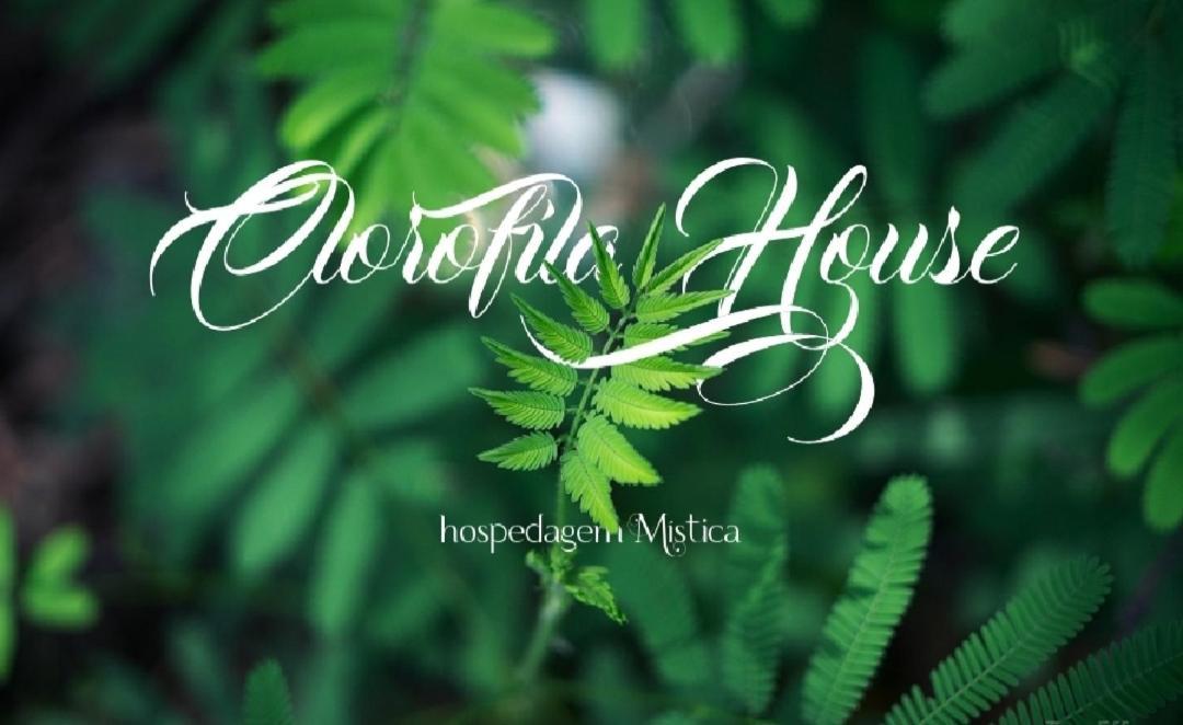 Clorofila House Glamping Naturista Ubatuba Εξωτερικό φωτογραφία