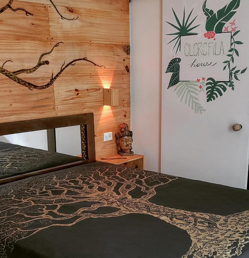 Clorofila House Glamping Naturista Ubatuba Εξωτερικό φωτογραφία