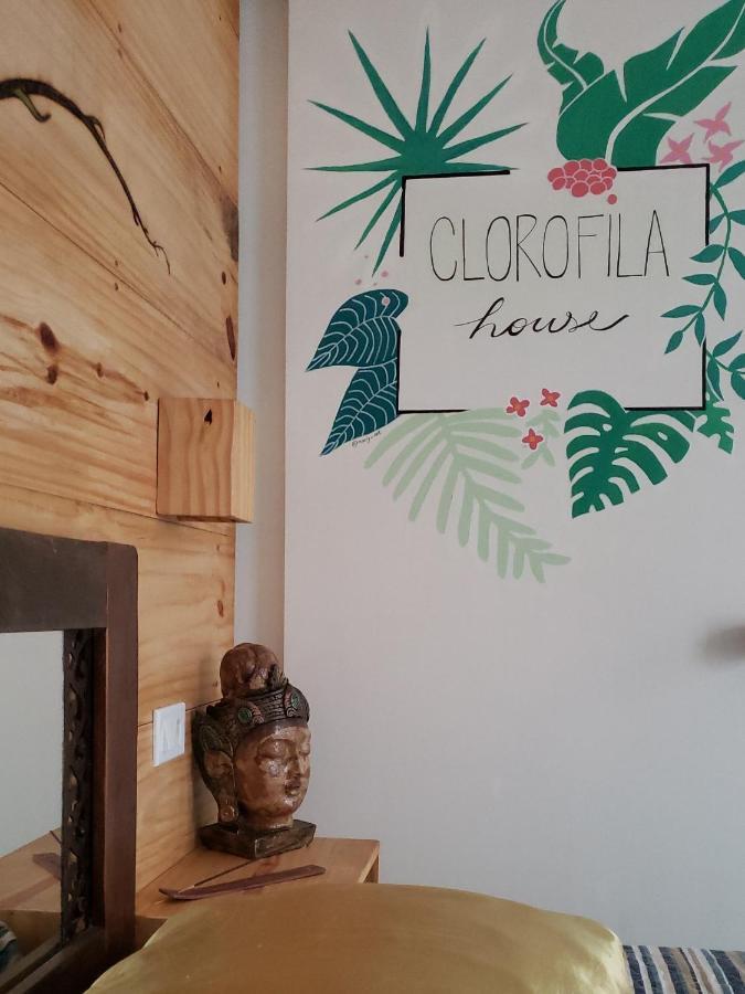 Clorofila House Glamping Naturista Ubatuba Εξωτερικό φωτογραφία