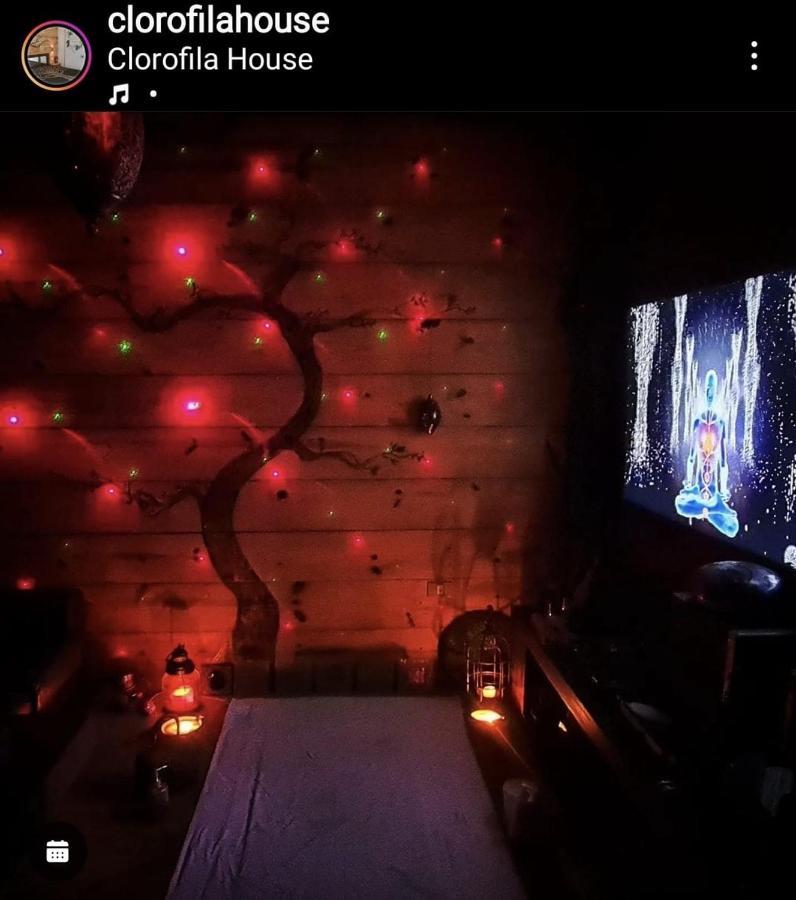 Clorofila House Glamping Naturista Ubatuba Εξωτερικό φωτογραφία